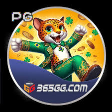 365gg